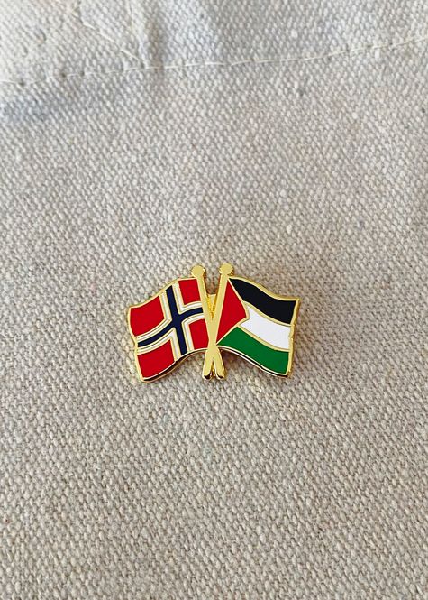 Hovedbilde Pin, Norge/Palestina